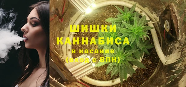 твердый Алзамай
