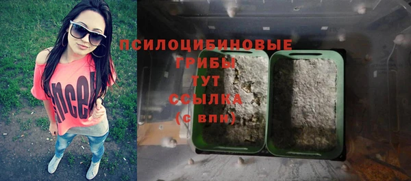 твердый Алзамай