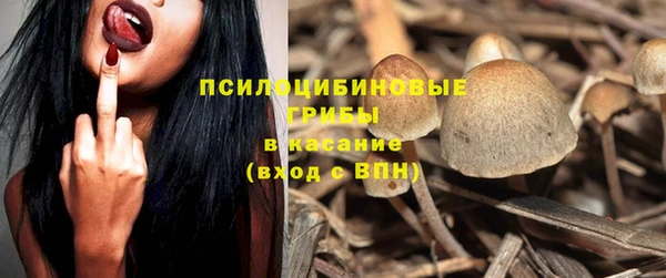 твердый Алзамай