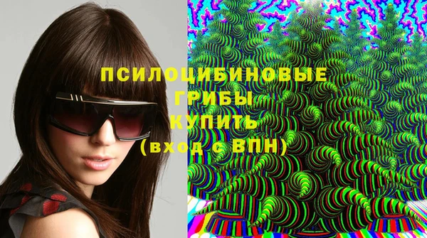 твердый Алзамай