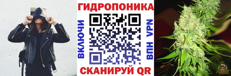 Каннабис SATIVA & INDICA  Болгар 